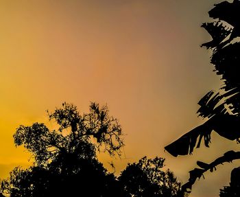 Low angle view of silhouette trees against clear sky