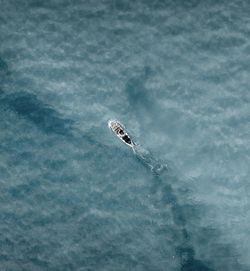 High angle view of sup in sea