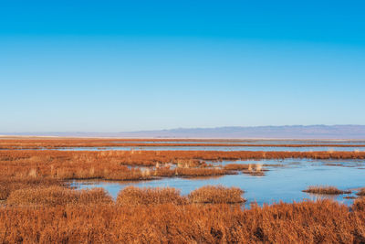 Scenic view of lake against clear blue sky