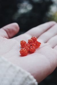 Close-up of hand holding strawberry