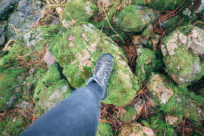 Low section of person standing on ground