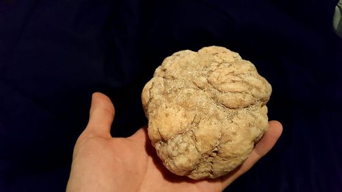 Close-up of person holding ice cream