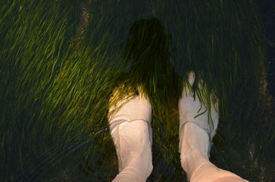 Low section of woman standing in pond