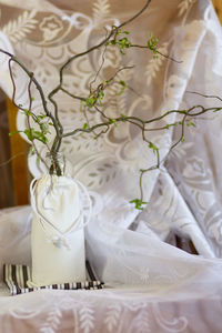 High angle view of white flowers on table