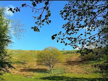 Scenic view of farm against clear blue sky