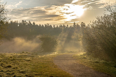 Scenic view of trees on field against sky on a misty morning