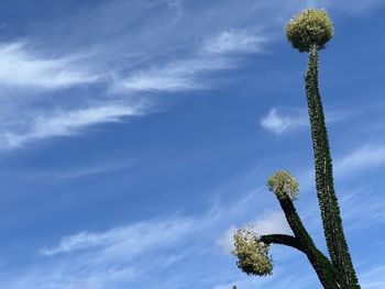 sky