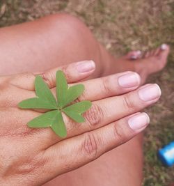 Close-up of hand holding plant