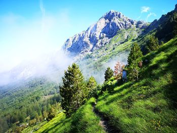 Scenic view of snowcapped mountains against sky