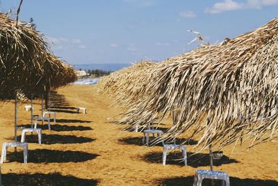 Scenic view of beach against sky and parasols of palm leaves in the middle 