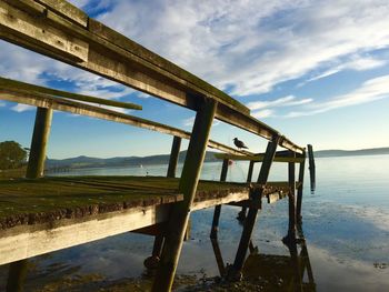 Seagull perching on railing in jetty against sky