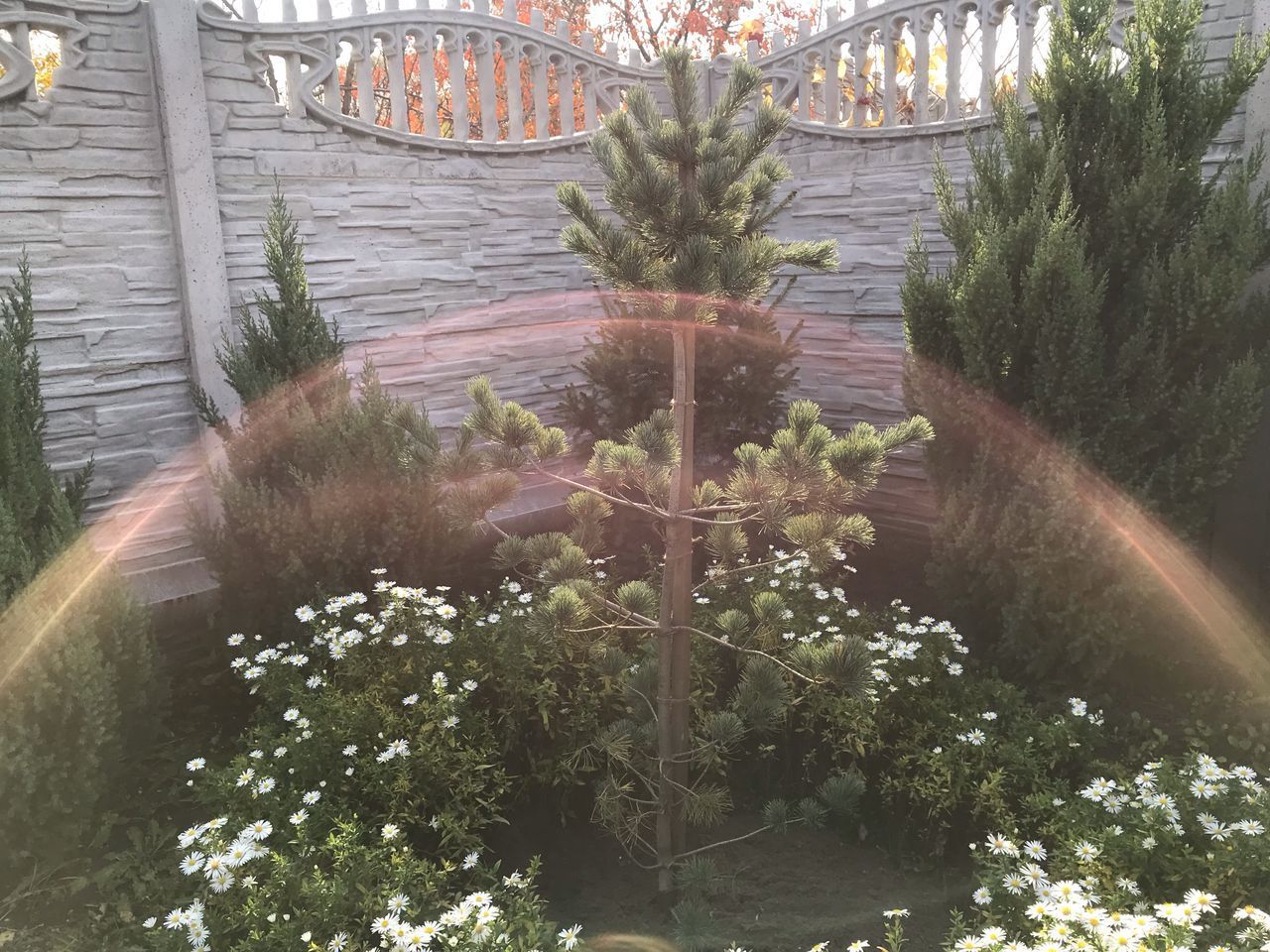 HIGH ANGLE VIEW OF POTTED PLANTS IN GARDEN