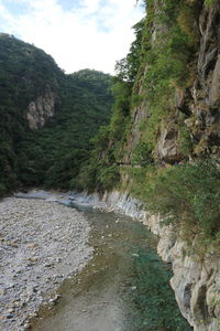 Scenic view of river in forest against sky