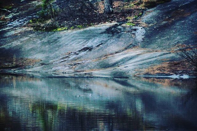 water, reflection, tranquility, waterfront, nature, lake, tranquil scene, beauty in nature, forest, scenics, tree, river, day, rock - object, stream, idyllic, outdoors, non-urban scene, no people, tree trunk