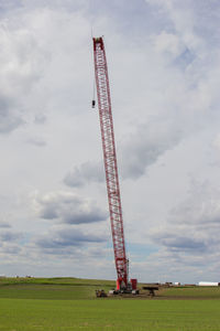 Low angle view of crane on field against sky