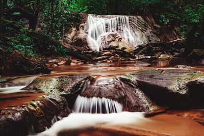 View of waterfall in forest