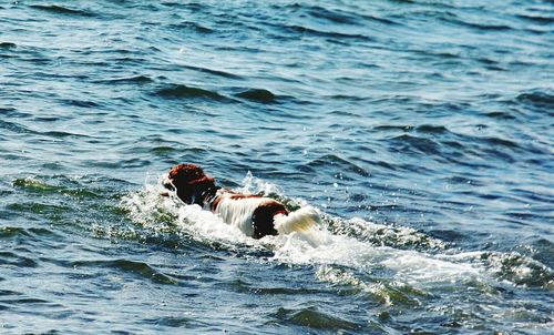 View of people in sea