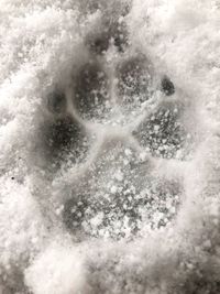 High angle view of snowflakes on snow