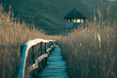 Pier over lake