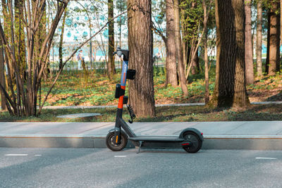 Bicycle parked on road in forest