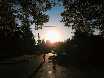 Sun shining through trees