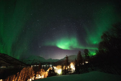 Scenic view of illuminated field against sky at night during winter