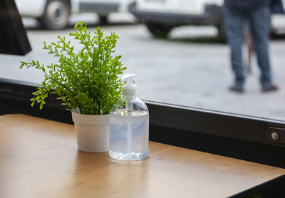 Close-up of potted plant on table