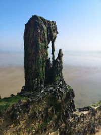 Close-up of rock on beach against sky