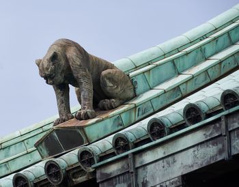 Low angle view of an animal against clear sky