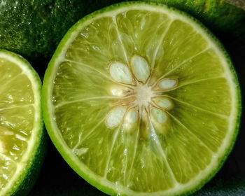 High angle view of oranges