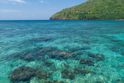 Scenic view of sea and corals against sky