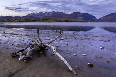 Scenic view of lake against sky