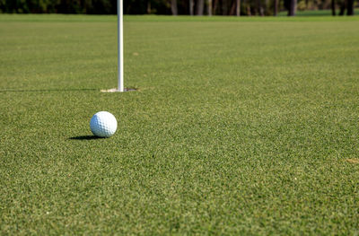 Close-up of golf ball on field