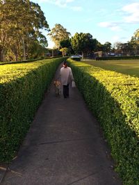 Rear view of people walking on footpath amidst plants