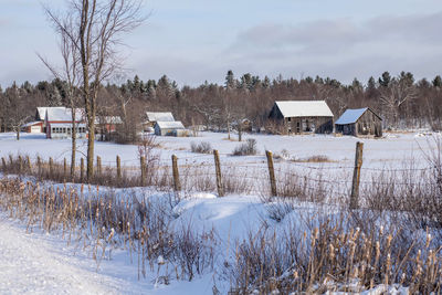 Snow covered field