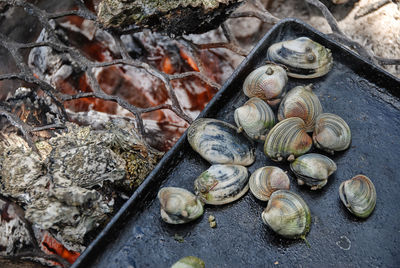 High angle view of mussels on barbeque