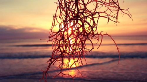Close-up of sea against sunset sky