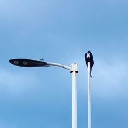 Low angle view of bird perching on street light against sky