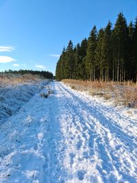 Scenic view of snow covered path against clear sky