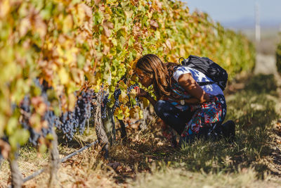 Woman smelling grapes at vineyard