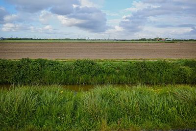 Scenic view of field against sky