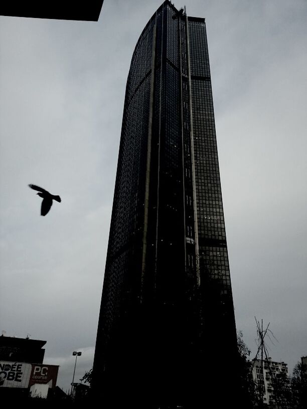 building exterior, architecture, built structure, low angle view, bird, city, skyscraper, tall - high, tower, animal themes, flying, modern, sky, office building, animals in the wild, wildlife, one animal, building, spread wings, cloud - sky