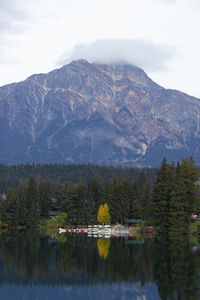 Lake beauvert with trees and reflection. jasper national park, alberta, canada. banff national park.
