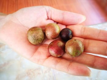 Close-up of hand holding fruits