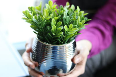 Close-up of hand holding potted plant