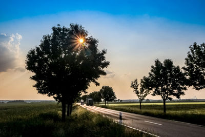 Tree by road on field against sky