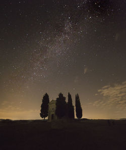 Trees on field against sky at night