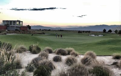 Birds on field against sky