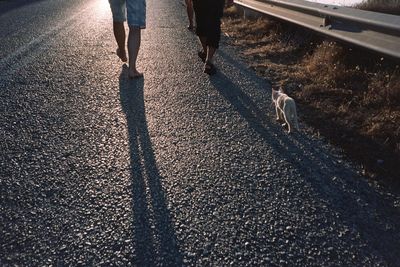 Low section of men with cat walking on road