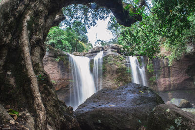 Scenic view of waterfall in forest